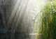 Veşti proaste de la meteo: Cum va fi vremea în următoarele trei zile