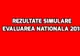 Rezultate Simulare Evaluarea Nationala 2018 – Toate informatiile de care ai nevoie sunt aici