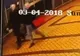 Ultimele imagini cu fostul spion rus, înainte să fie otrăvit. Detaliile sunt tulburătoare