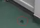 Imagini şocante la un spital din Craiova, un şoarece se plimbă pe lângă paturile copiilor (VIDEO)