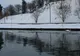 Imagini spectaculoase în Capitală. Lebedele au venit în oraș