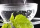 5 plante care țin glicemia sub control