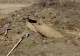ALERTĂ. Şase bombe, descoperite la ieşirea din Focşani
