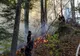 Incendiu violent într-o pădure din Bacău! 175 de oameni intervin - pericol de EXPLOZIE 