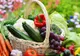 Cel mai puternic detoxifiant. Singura legumă care "mănâncă" tot zahărul din organism