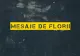 Mesaje de Florii 2018. Trimite o felicitare în Duminica Floriilor. Alege un model