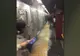 Inundaţie la metroul din New York - scări transformate în cascade