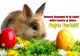 Mesaje și felicitări de Paște: Timp de 40 de zile după Paște se spune Hristos a Înviat