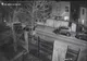 Piromanul de maşini din Capitală a fost arestat preventiv. Cine e bărbatul (VIDEO) 