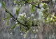 PROGNOZA METEO. Ce temperaturi ne aşteaptă zilele acestea. Când vom avea nevoie de umbrele 