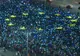 Protest de amploare în Bucureşti, pe 12 mai: "Vrem Europa, nu dictatură!"