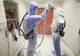 Panică în Europa: o țară vecină cu România riscă să răspândească cel mai devastator virus