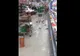 Era în supermarket la cumpărături, iar când a văzut ce mişună pe jos a îngheţat! Cum e posibil?