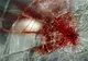 ACCIDENT RUTIER extrem de grav: trei tinere au murit, iar o alta este în stare critică