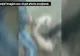 Braconierul sadic care a ucis o căprioară a fost identificat