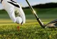 Realitatea TV Golf Cup, eveniment important organizat sâmbătă