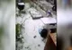 Dezastru după o furtună cu grindină în Dolj. Imagini incredibile: Zici că a venit IARNA!
