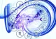 Zodiile pe care s-a clădit lumea. Care sunt liderii din horoscop 