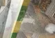 Iepuraș mort în vitrina unui pet-shop dintr-un mall din Ploiești