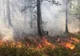 INCENDIU de vegetaţie în Munţii Ciucaş: Zeci de pompieri intervin pentru stingerea focului