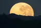 Luna plină florală de marți noaptea. Imagini superbe adunate din colțurile lumii 