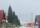 Ninge în România! Imagini incredibile (VIDEO)