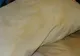 Cum să speli şi să albeşti pernele îngălbenite. Cel mai simplu truc