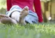 Neuropatia diabetică, subdiagnosticată în România (P)