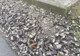 Trafic îngreunat în Dâmbovița, după ce un TIR cu bere s-a răsturnat pe șosea