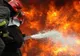 Incendiu de proporţii în Prahova. O fermă cu peste 1000 de purceluşi s-a făcut scrum 