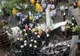Accident aviatic: Cel puțin 17 morți 