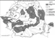 BAC 2018 geografie. Capcana hărții i-a păcălit pe elevi