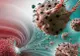 Leguma banală care poate distruge 14 tipuri de celule canceroase. Tu o consumi?