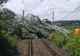 Traficul feroviar afectat din cauza furtunilor. Unde sunt probleme cu circulaţia trenurilor