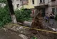 Dezastru în urma furtunilor: copaci smulşi de vânt, zeci de locuinţe şi curţi inundate