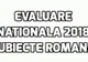 Evaluare Nationala 2018 Subiecte Romana – Cat se chinuie elevii in acest an la rezolvarea subiectelo