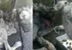 A găsit animalul aproape mort, pe stradă. Când i-a văzut ochii, l-a şi luat acasă. Ce era creatura