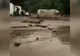 Imagini apocaliptice în România. Viituri puternice în mai multe zone din ţară