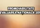 Rezultate Evaluare Națională 2018 - Câți elevi au luat peste 5 la Capacitate și câți au media 10