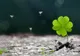 Zodiile care au cele mai mari şanse să se îmbogăţească