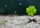 Horoscop financiar 11-17 iunie. Zodia care rămâne fără bani! Risipeşte tot ce câştigă!