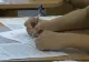 A început Evaluarea Naţională 2018, cu proba la Română. Barem de corectare şi subiecte