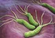Această bacterie cauzează cancer de stomac. Cum te poţi feri de ea
