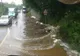 POTOP în vestul ţării. Ploaia căzută a făcut ravagii 
