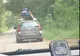 Tarzan din pădurea Ceala. A lăsat volanul și a urcat pe propria mașină în mers