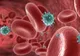 Descoperire revoluţionară: fir magnetic, care ar putea "pescui" celulele canceroase