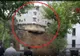 O clădire cu patru etaje s-a prăbuşit din cauza ploii VIDEO