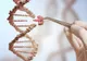 5 afecţiuni pe care le poţi moşteni. Ce boli păstrezi în bagajul genetic