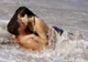 Ce se întâmplă cu cei care fac sex în concediu? Răspunsul fabulos al unui sexolog