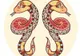 Prima impresie pe care o laşi oamenilor, în funcţie de horoscop. Cele mai obraznice zodii